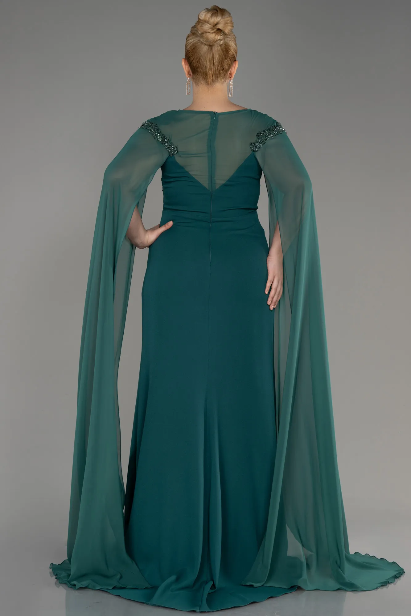 Emerald Green-Long Chiffon Sleeve Plus Size Evening Dress ABU3913