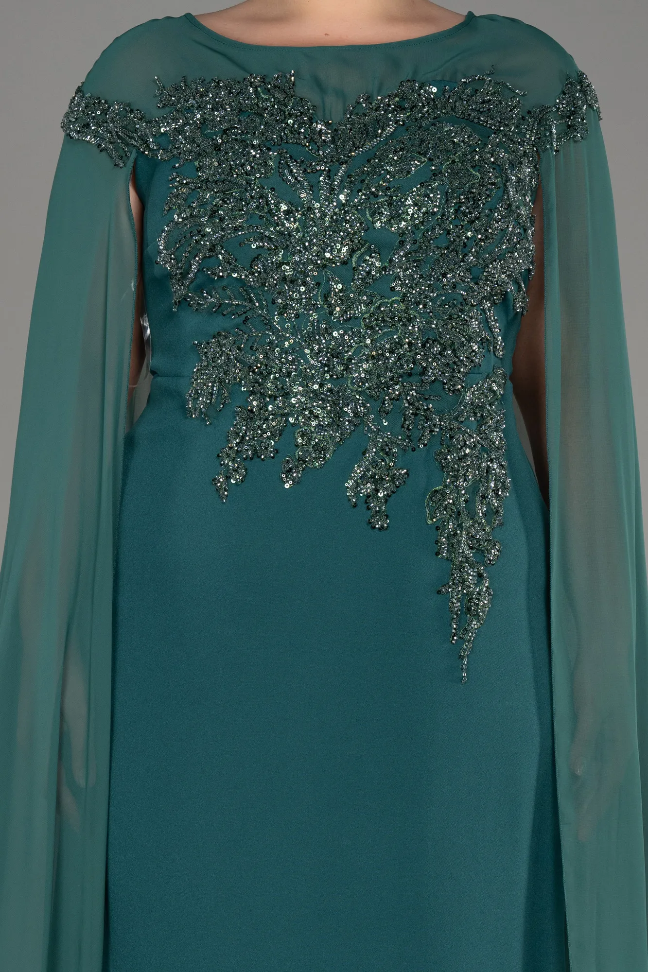 Emerald Green-Long Chiffon Sleeve Plus Size Evening Dress ABU3913