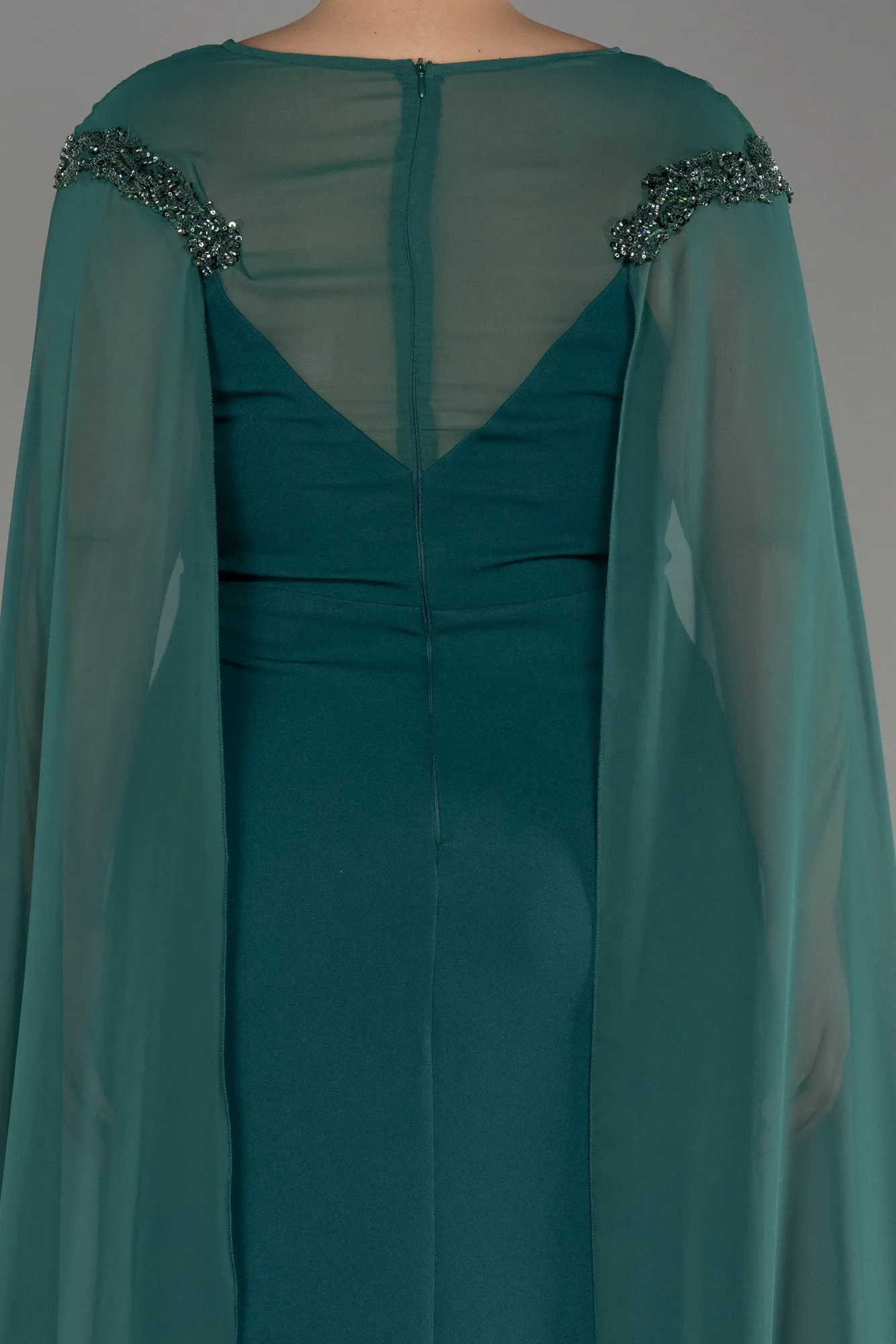 Emerald Green-Long Chiffon Sleeve Plus Size Evening Dress ABU3913