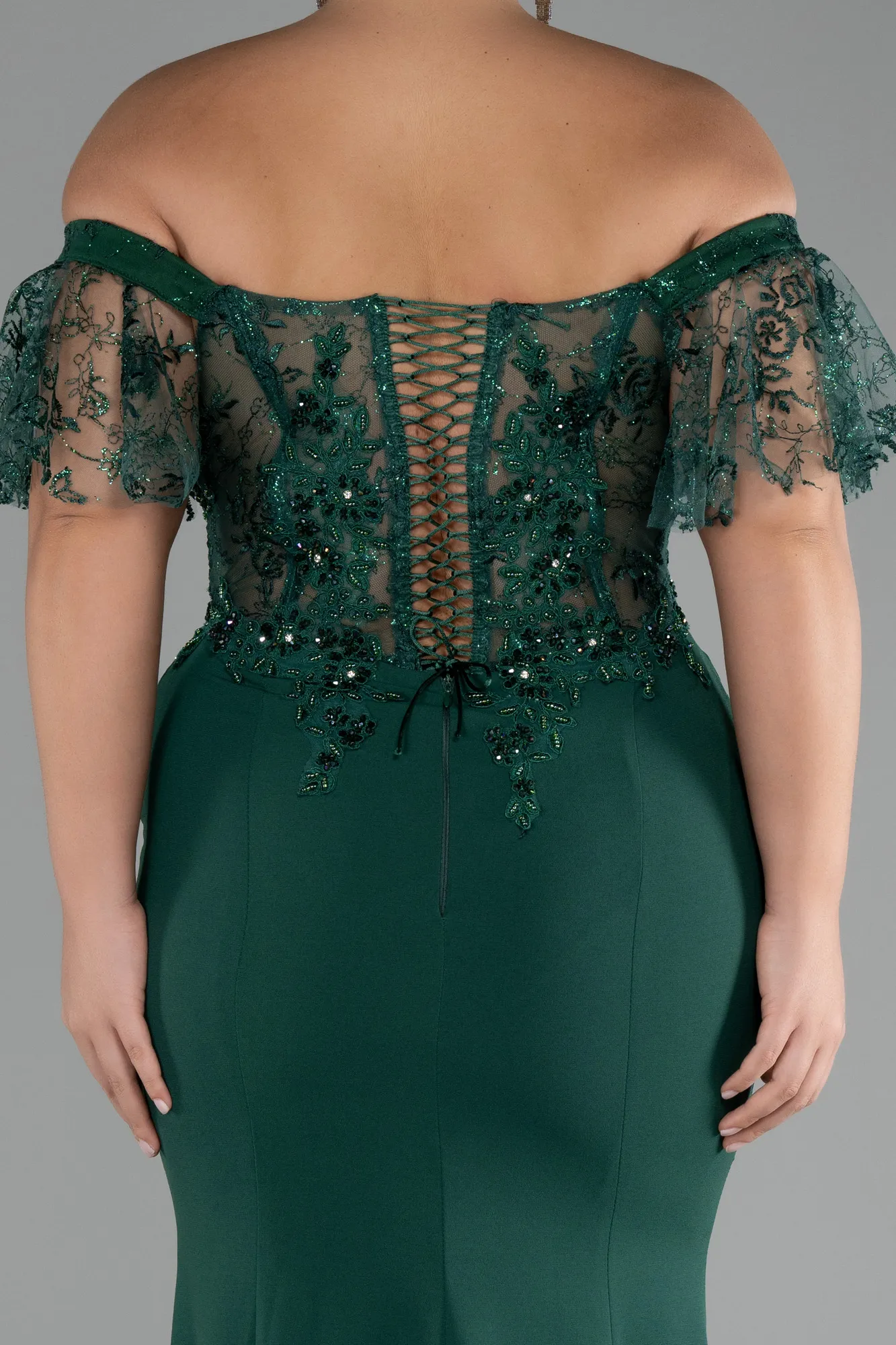 Emerald Green-Long Dantelle Plus Size Evening Dress ABU2571