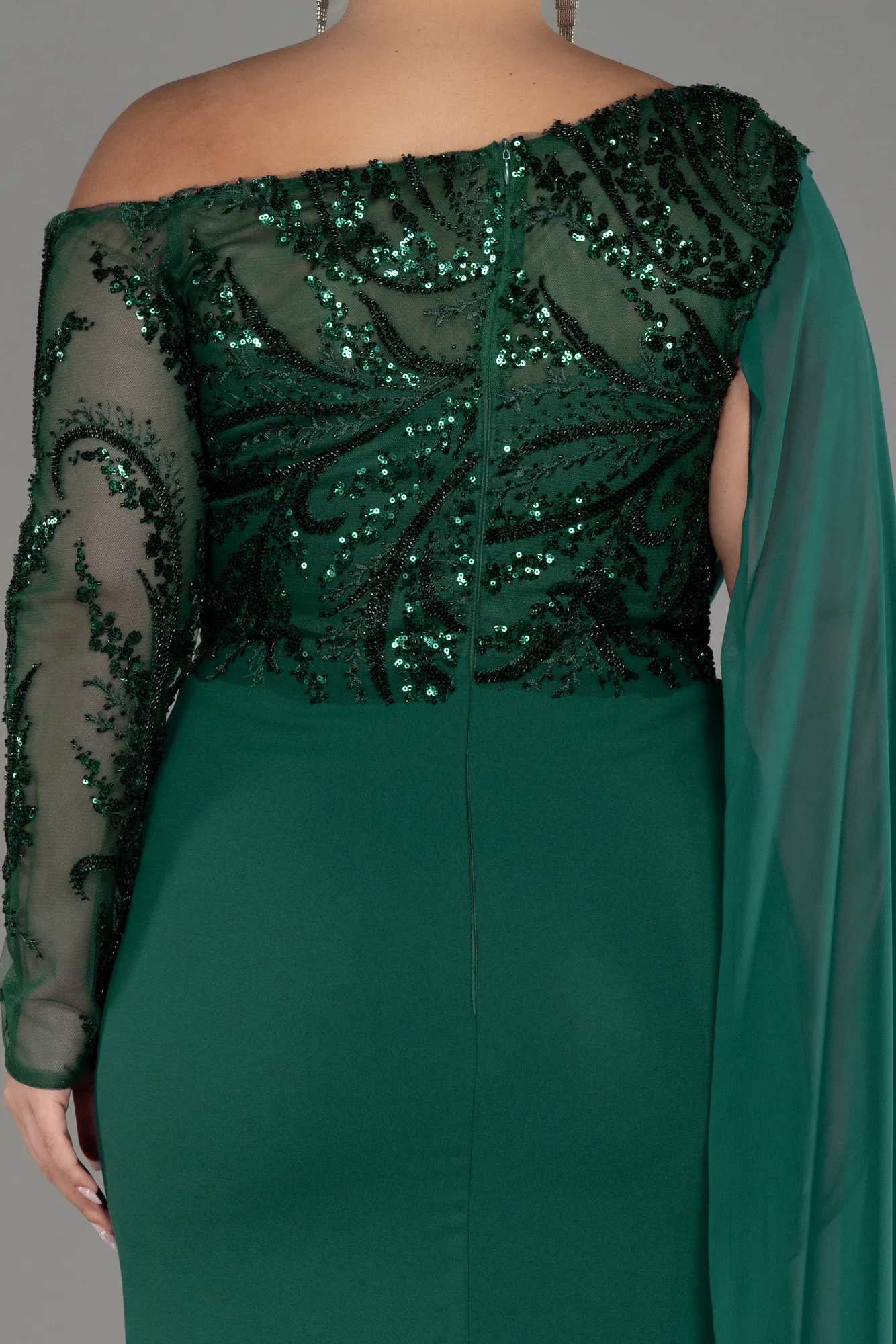 Emerald Green-Long Dantelle Plus Size Evening Dress ABU3512