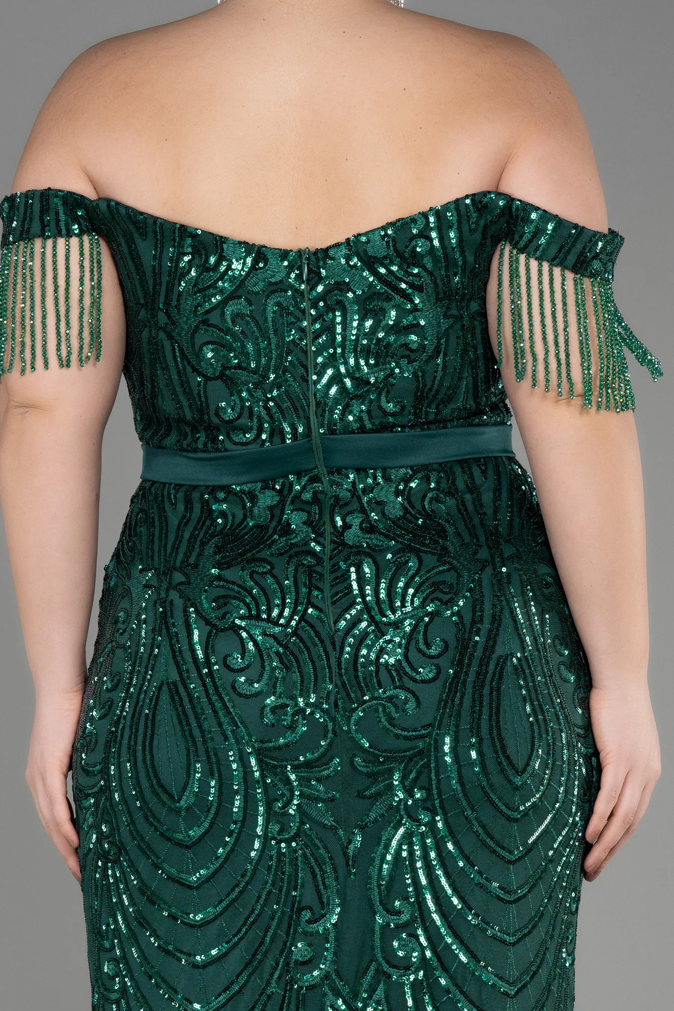 Emerald Green-Long Plus Size Engagement Dress ABU3785