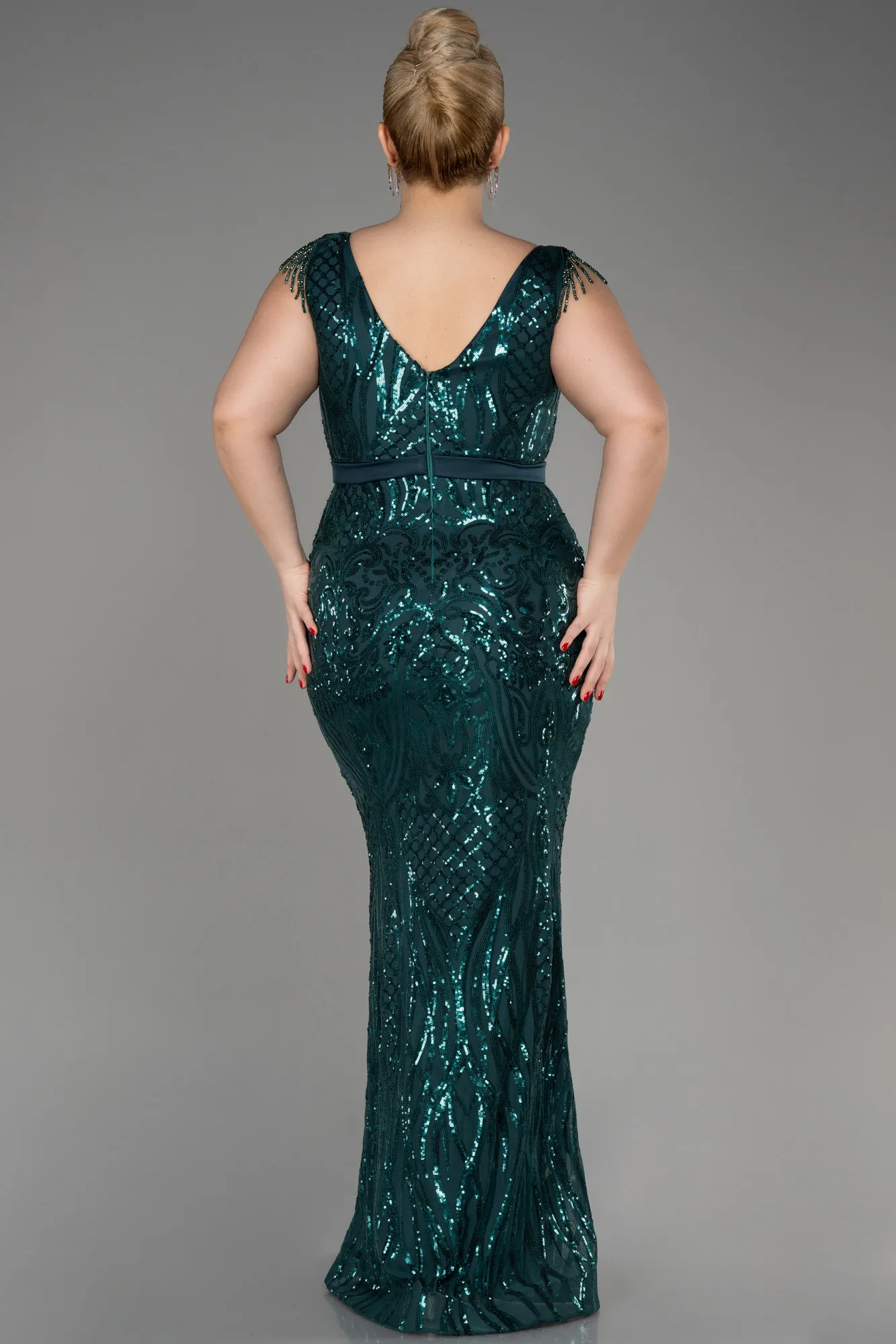 Emerald Green-Long Plus Size Engagement Dress ABU3876