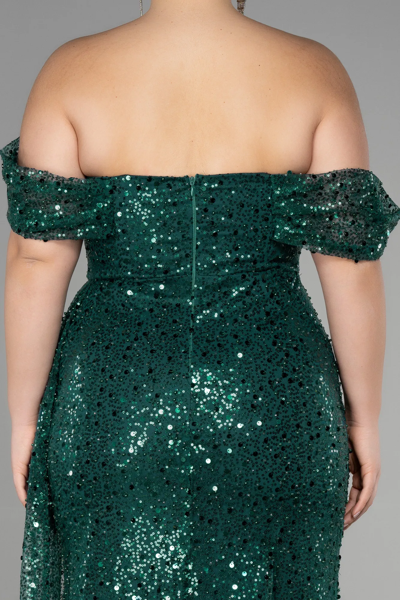 Emerald Green-Long Scaly Plus Size Engagement Dress ABU3579