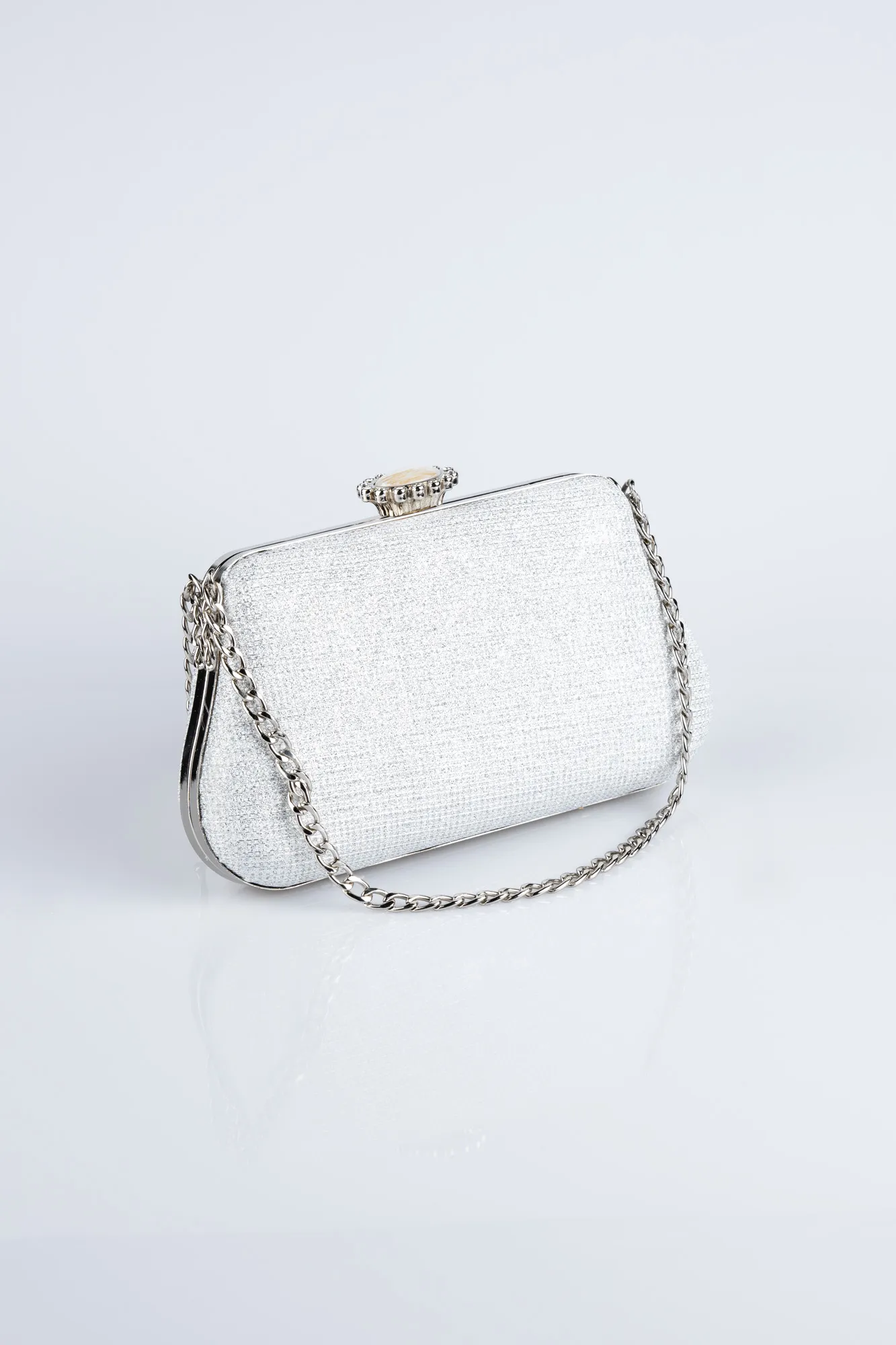 Silver-Silvery Night Bag SHC834